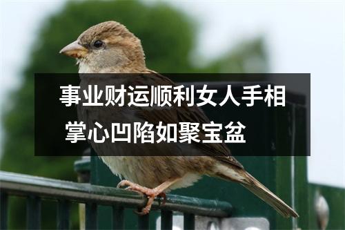 事业财运顺利女人手相掌心凹陷如聚宝盆