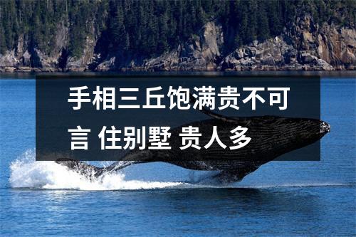 手相三丘饱满贵不可言住别墅贵人多