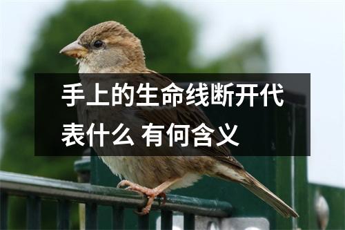 手上的生命线断开代表什么有何含义