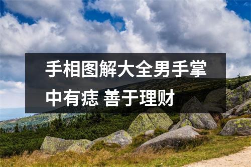 <h3>手相图解大全男手掌中有痣善于理财