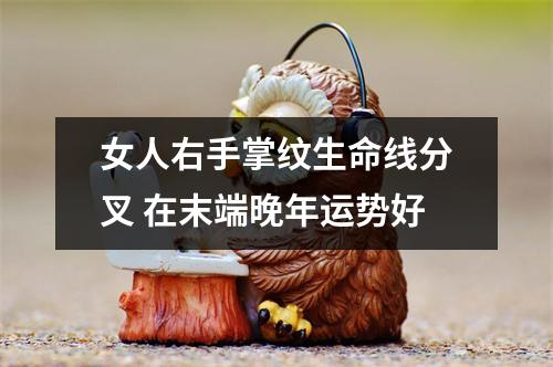 女人右手掌纹生命线分叉在末端晚年运势好