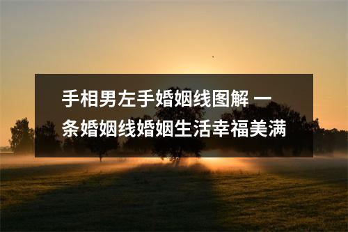 手相男左手婚姻线图解一条婚姻线婚姻生活幸福美满