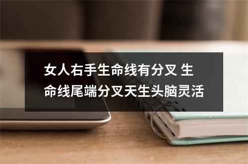 <h3>女人右手生命线有分叉生命线尾端分叉天生头脑灵活