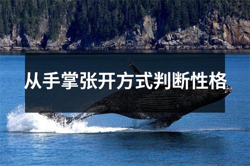 <h3>从手掌张开方式判断性格