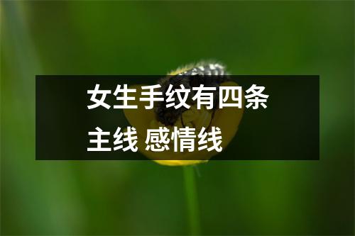 女生手纹有四条主线感情线