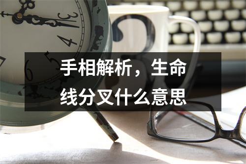 手相解析，生命线分叉什么意思