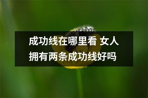 <h3>成功线在哪里看女人拥有两条成功线好吗