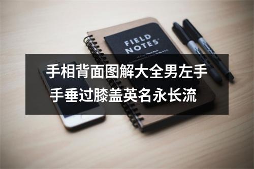 <h3>手相背面图解大全男左手手垂过膝盖英名永长流