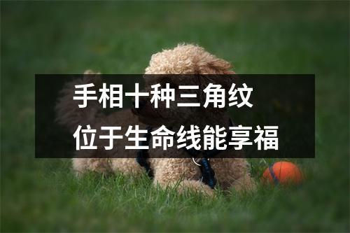 手相十种三角纹位于生命线能享福