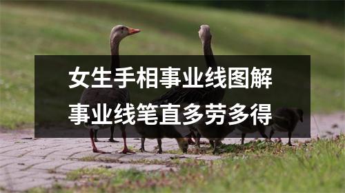 女生手相事业线图解事业线笔直多劳多得