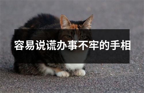 容易说谎办事不牢的手相