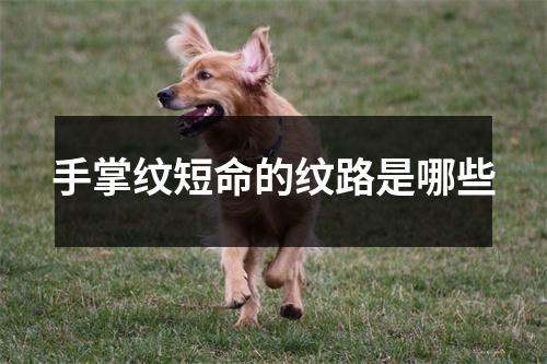 <h3>手掌纹短命的纹路是哪些
