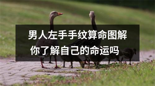男人左手手纹算命图解你了解自己的命运吗