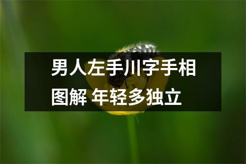 男人左手川字手相图解年轻多独立