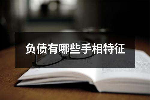<h3>负债有哪些手相特征