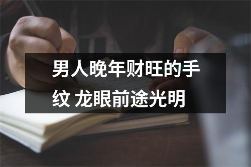男人晚年财旺的手纹龙眼前途光明
