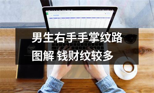 男生右手手掌纹路图解钱财纹较多