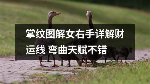<h3>掌纹图解女右手详解财运线弯曲天赋不错