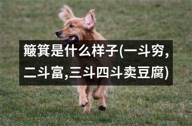簸箕是什么样子(一斗穷,二斗富,三斗四斗卖豆腐)