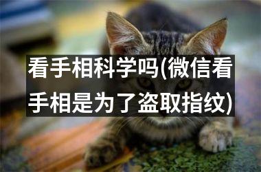 看手相科学吗(微信看手相是为了盗取指纹)