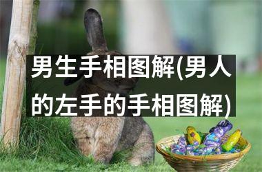 男生手相图解(男人的左手的手相图解)