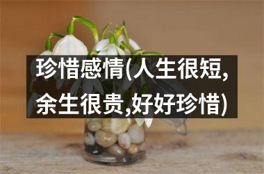 珍惜感情(人生很短,余生很贵,好好珍惜)