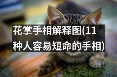 花掌手相解释图(11种人容易短命的手相)