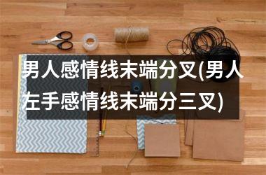 <h3>男人感情线末端分叉(男人左手感情线末端分三叉)