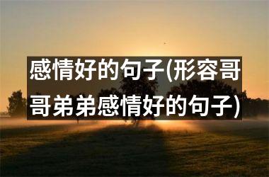感情好的句子(形容哥哥弟弟感情好的句子)