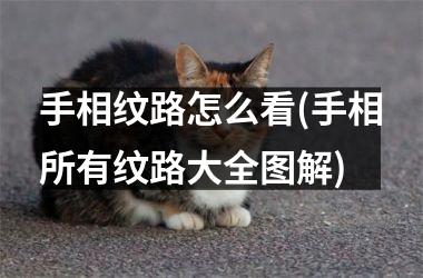 手相纹路怎么看(手相所有纹路大全图解)