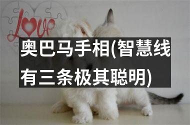 奥巴马手相(智慧线有三条极其聪明)
