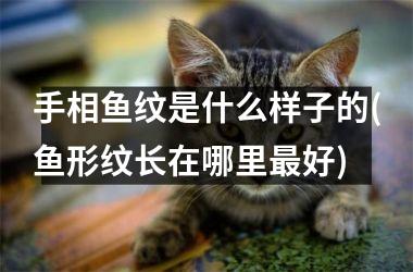 手相鱼纹是什么样子的(鱼形纹长在哪里好)