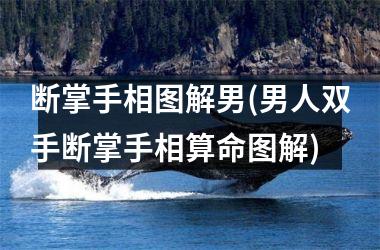 <h3>断掌手相图解男(男人双手断掌手相算命图解)