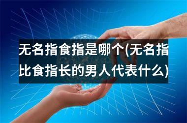 无名指食指是哪个(无名指比食指长的男人代表什么)