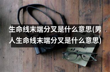 生命线末端分叉是什么意思(男人生命线末端分叉是什么意思)
