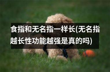食指和无名指一样长(无名指越长性功能越强是真的吗)