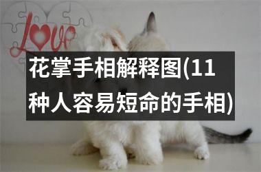 花掌手相解释图(11种人容易短命的手相)