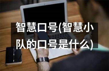 智慧口号(智慧小队的口号是什么)