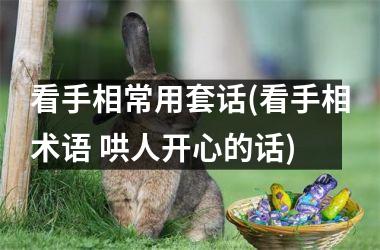 看手相常用套话(看手相术语 哄人开心的话)