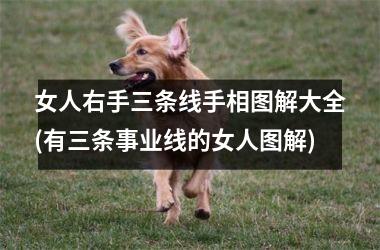 <h3>女人右手三条线手相图解大全(有三条事业线的女人图解)
