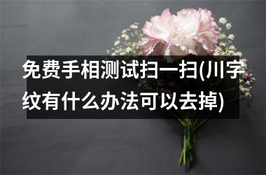 免费手相测试扫一扫(川字纹有什么办法可以去掉)