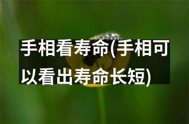 <h3>手相看寿命(手相可以看出寿命长短)