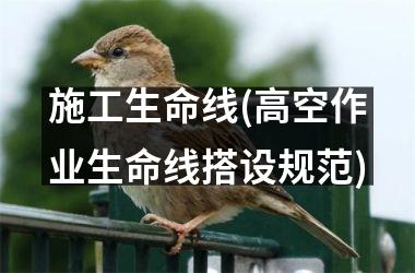 <h3>施工生命线(高空作业生命线搭设规范)