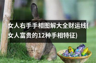 女人右手手相图解大全财运线(女人富贵的12种手相特征)
