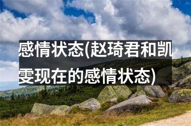 感情状态(赵琦君和凯雯现在的感情状态)