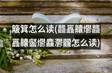簸箕怎么读(龘靐齉爩龘靐齉齾爩麤灪龖怎么读)