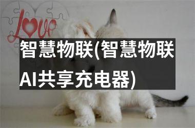 <h3>智慧物联(智慧物联AI共享充电器)