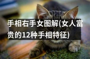 <h3>手相右手女图解(女人富贵的12种手相特征)