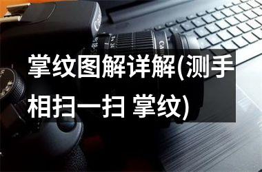 掌纹图解详解(测手相扫一扫 掌纹)