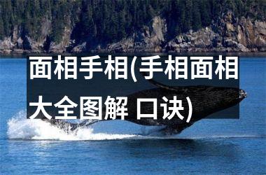 面相手相(手相面相大全图解 口诀)